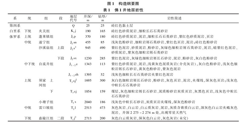 樂山大佛景區(qū)區(qū)域地?zé)豳Y源開發(fā)遠(yuǎn)景分析-地大熱能